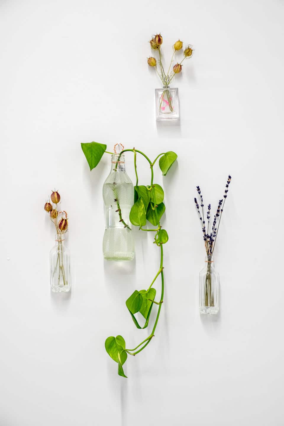 Peculiar Movements/Green Junctions at NAMARA projects